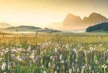 广州大象传媒有限公司-广州大象传媒，创新引领的数字媒体新势力