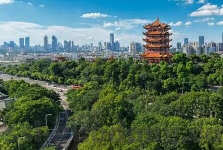 果冻传媒在线播放免费-探索果冻传媒的在线免费播放，数字时代的娱乐新风尚
