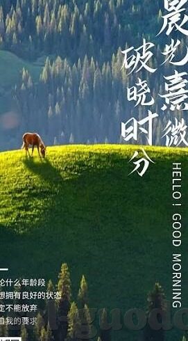 糖心app安卓版-解锁甜蜜体验，探索糖心app安卓版的独特魅力
