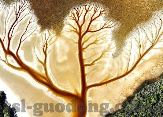 污91软件下载大象传媒-探索数字时代的文化边界，对污91软件下载大象传媒现象的理性审视